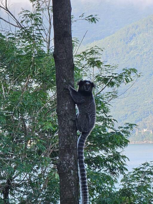 Nosso Mar Hotel Florianópolis Kültér fotó